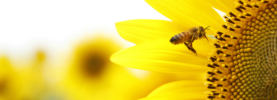 1594882501116752.jpg 企業文化.jpg