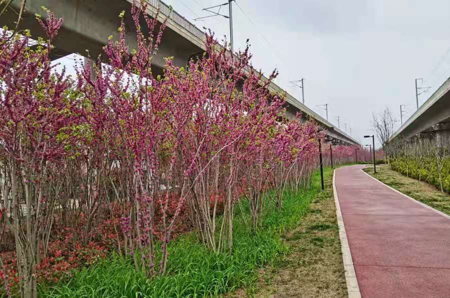 1622445191258754.jpg 1622445191258754.jpg