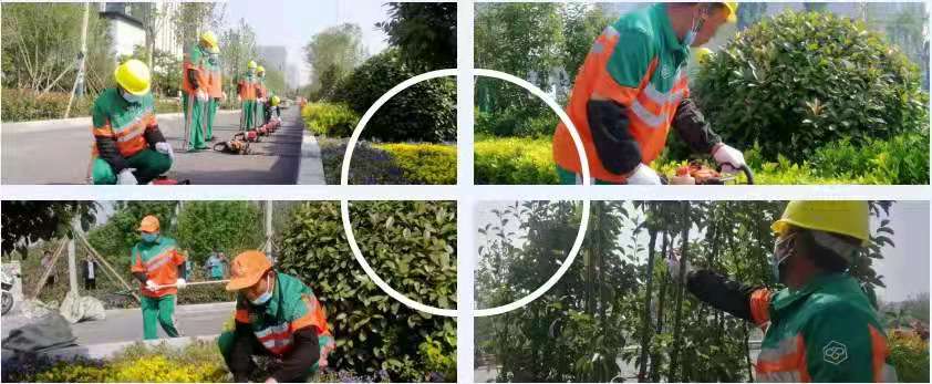 1622445198681559.jpg 1622445198681559.jpg