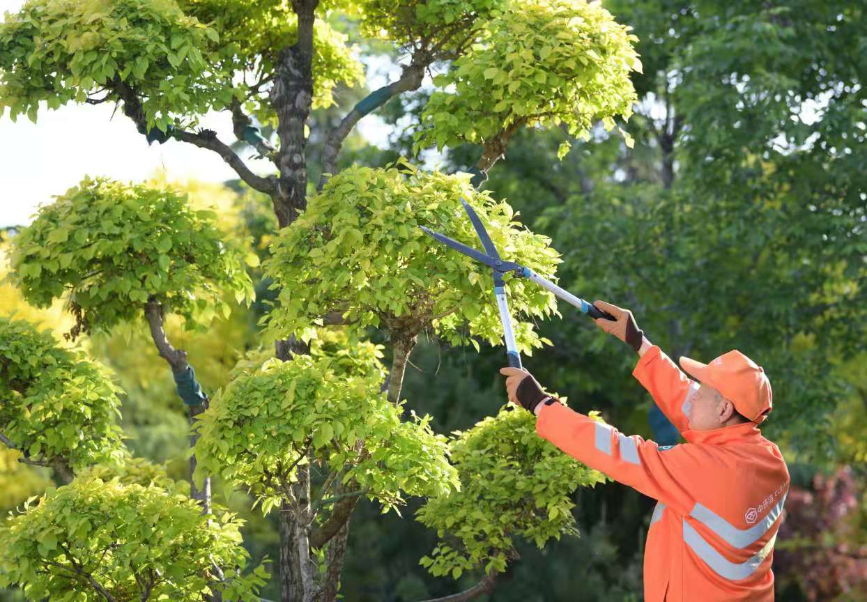 1622445234966151.jpg 1622445234966151.jpg