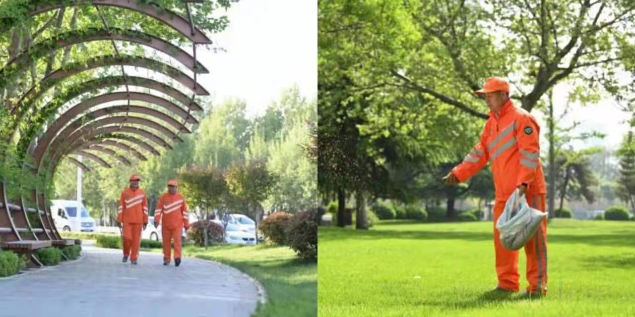 1622445277894960.jpg 1622445277894960.jpg