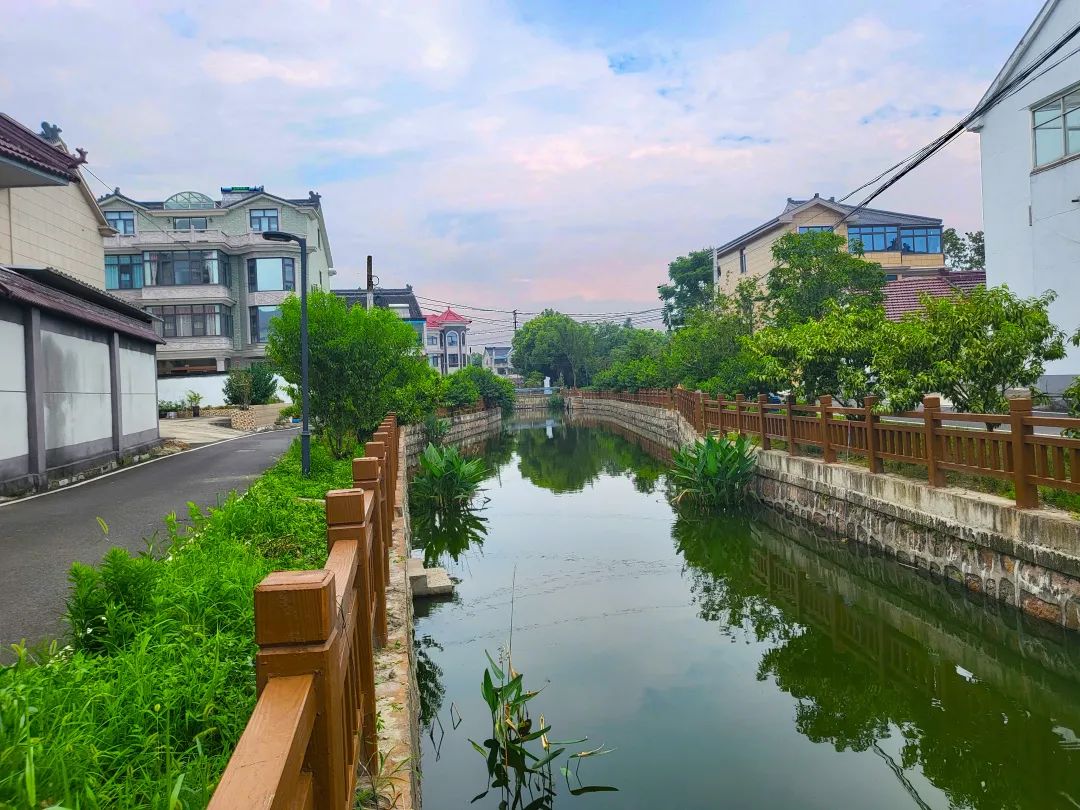 1690187098416401.jpg 1690187098416401.jpg