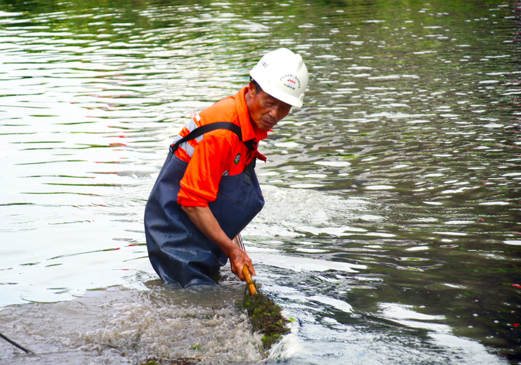 1690187328792282.png 1690187328792282.png