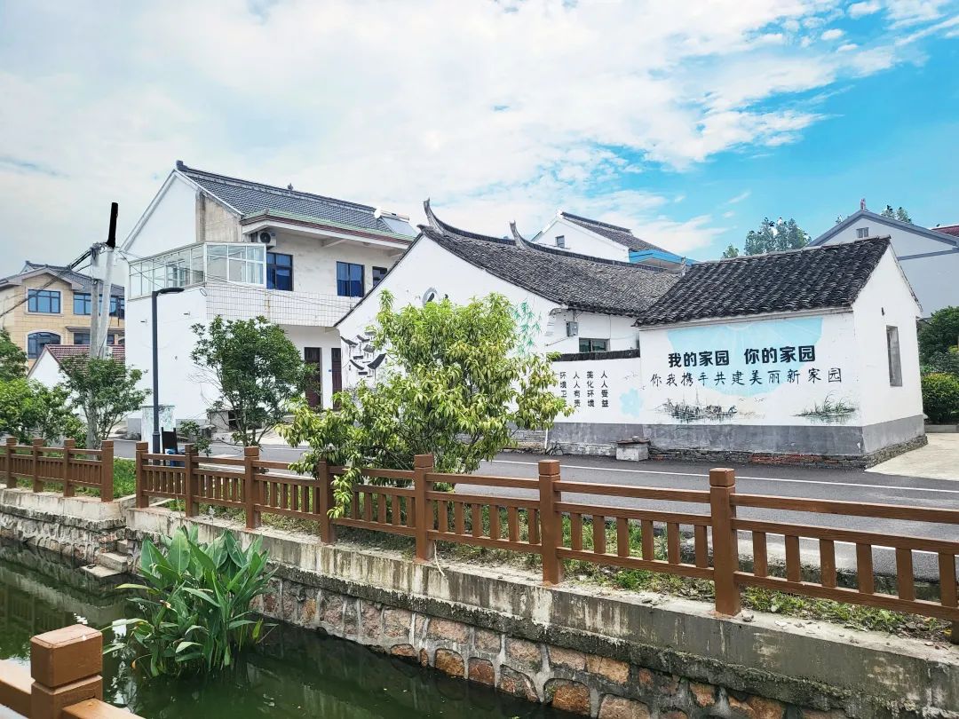 1690187351256870.jpg 1690187351256870.jpg