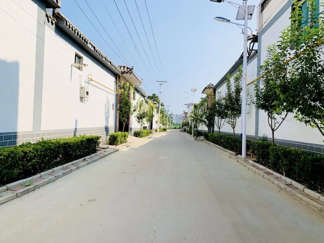 1690349066146239.jpg 1690349066146239.jpg